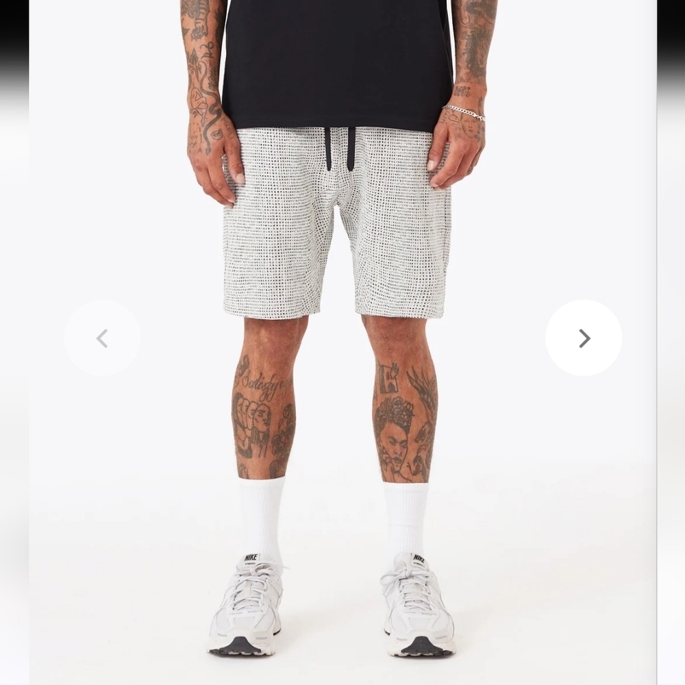 ZANEROBE NWT Sureshot Honeycomb Flight Shorts.